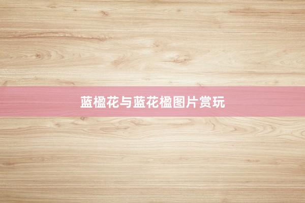 蓝楹花与蓝花楹图片赏玩