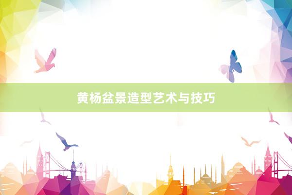 黄杨盆景造型艺术与技巧
