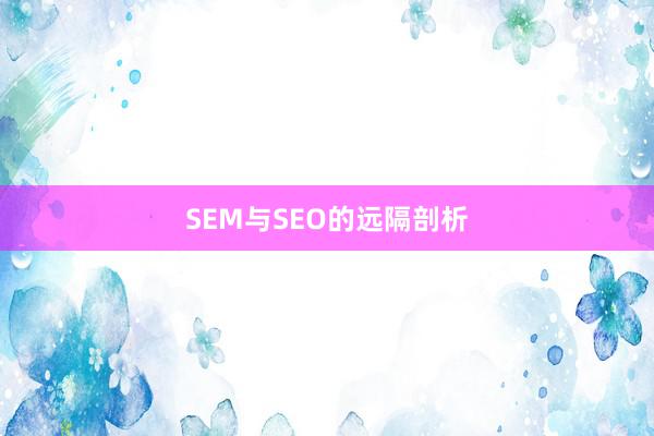 SEM与SEO的远隔剖析