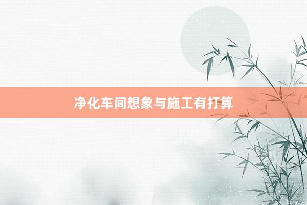净化车间想象与施工有打算