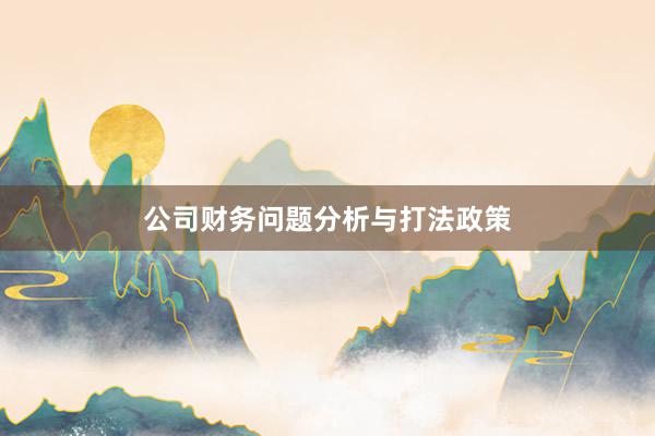 公司财务问题分析与打法政策
